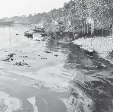  ?? KHAIRUL ALAM/The Associated Press ?? Oil from a sunken tanker fouls the Shela River, at the site of one of the world’s largest mangrove forests. The spill of
bunker oil is threatenin­g wildlife in the fragile ecosystem of this area of Bangladesh.