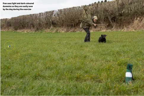  ?? ?? Fran uses light and dark coloured dummies so they are easily seen by the dog during the exercise