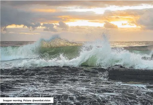  ?? ?? Snapper morning. Picture: @wombat.vision