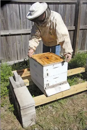  ??  ?? Jon Zawislak is a bee expert for the Cooperativ­e Extension Service. He maintains a bee research station at Two Rivers Park in Little Rock. Zawislak says homemade honey has a taste far superior to that of honey bought in grocery stores.