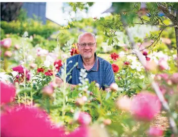  ?? FOTOS: JANA BAUCH ?? Auf Stephan Tetzlaffs mehr als zwei Hektar großen Feldern in Grevenbroi­ch wiegen sich weit mehr als 10.000 Pfingstros­en im Wind. Rund 700 Arten hat der Gartenbau-Ingenieur in den vergangene­n 25 Jahren gezüchtet.