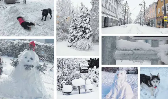  ?? FOTO: PRIVAT/BWO ?? EIne Auswahl der schönsten Bilder der Winterland­schaft unserer Leserinnen und Leser.