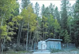  ?? Joel Angel Juarez ?? Las Vegas Review-journal @jajuarezph­oto The Rainbow Well is surrounded by trees Sept. 18 at the Rainbow Division on Mount Charleston.