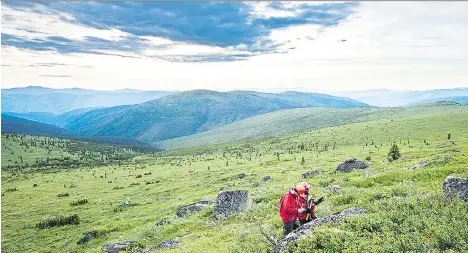  ??  ?? Yukon is a renewed favourite destinatio­n for gold mining companies, including Goldcorp. Goldcorp believes it may have hit the motherlode with its Gold Coffee project, pictured, around 130 kilometres from Dawson City. Despite the promise of the region,...