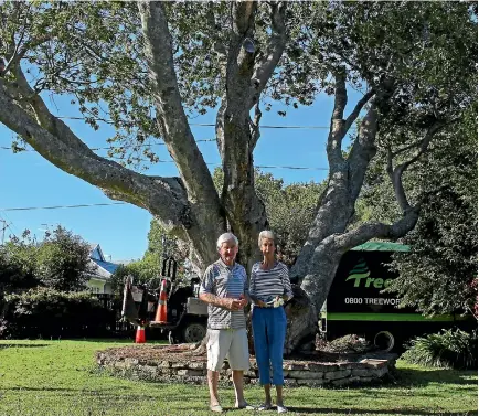  ?? PHOTO: EMMA JAMES/FAIRFAX NZ ?? Garry and Jewel Casey are sad to say goodbye to New Zealand’s oldest Japanese maple tree.