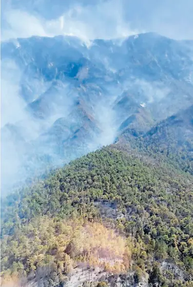  ?? FOTOS @CONAFOR ?? Ahora el país atraviesa un escenario no antes visto, con incendios forestales en varias partes del país y sin capacidad para atender y remediar los daños.