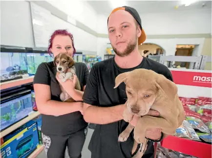  ?? PHOTO: MURRAY WILSON/ FAIRFAX NZ ?? The young team behind Shiloh’s Pets, Madison and Taylor Rolston, and Shiloh.