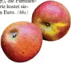  ?? Foto: Weizenegge­r ?? Experten sprechen im Botanische­n Gar ten über Äpfel.