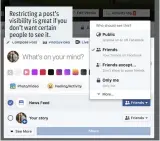  ??  ?? Restrictin­g a post’s visibility is great if you don’t want certain people to see it.