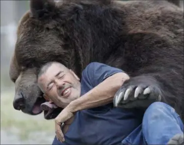  ?? MIKE GROLL — ASSOCIATED PRESS ?? Jim Kowalczik plays with Jimbo, a 1,500-pound Kodiak bear, at the Orphaned Wildlife Center in Otisville, Orange County, on Sept. 7.