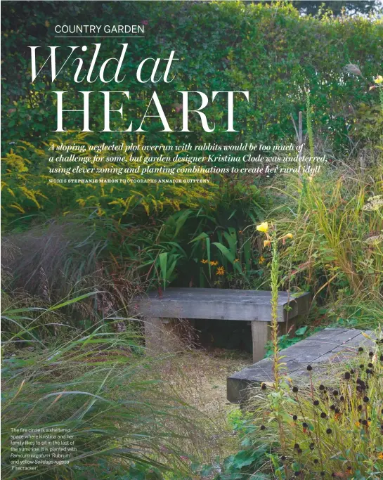  ??  ?? The fire circle is a sheltered space where Kristina and her family likes to sit in the last of the sunshine. It is planted withPanicu­m virgatum ‘Rubrum’ and yellow Solidago rugosa ‘Firecracke­r’.