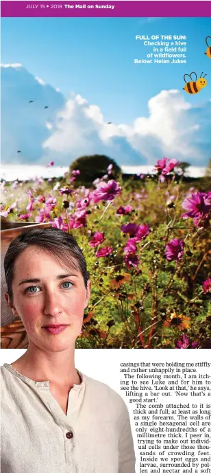  ??  ?? FULL OF THE SUN: Checking a hive in a field full of wildflower­s. Below: Helen Jukes