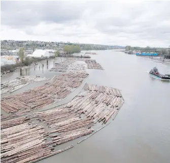  ?? JONATHAN HAYWARD, CP ?? Log booms along the Fraser River in Richmond await processing at a nearby mill.