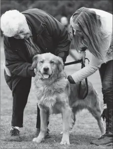  ?? DAVE SIDAWAY/ THE GAZETTE ?? Tuscon, a golden retriever/chow mix who was rescued from a Sherbrooke home, is seen with Gerdy, left, of Gerdy’s Animal Rescue, and Kristin McNeill, of the Underdog Club.