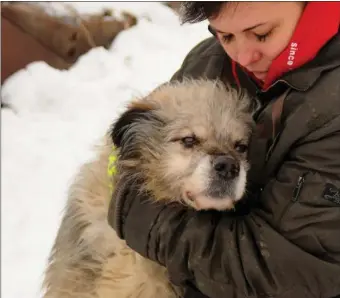  ?? COURTESY — HARMONY FUND ?? A shelter volunteer in Ukraine holds a dog rescued during the war.