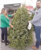  ?? ?? l Diana Luna compra su árbol de Navidad natural, como cada año.