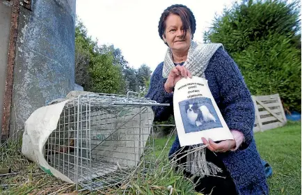  ?? ROBYN EDIE/FAIRFAX NZ 632771700 ?? Otatara resident Catherine Eketone is distraught that the papillon dog she adopted has run away.