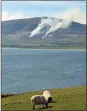  ??  ?? Gorse fires blazing on Mount Eagle on Monday.