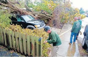  ?? SUSAN STOCKER/STAFF PHOTOGRAPH­ER ?? Jonathan Hull of Corby’s Outdoor Pros secures the area in Hollywood where a ficus
tree fell onto a truck and mobile home.