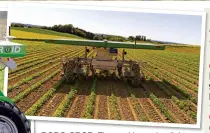  ?? ?? ROBO-CROP: The machine makes light work of weeding. Left, Angus Elder with Robbie at his farm near North Berwick