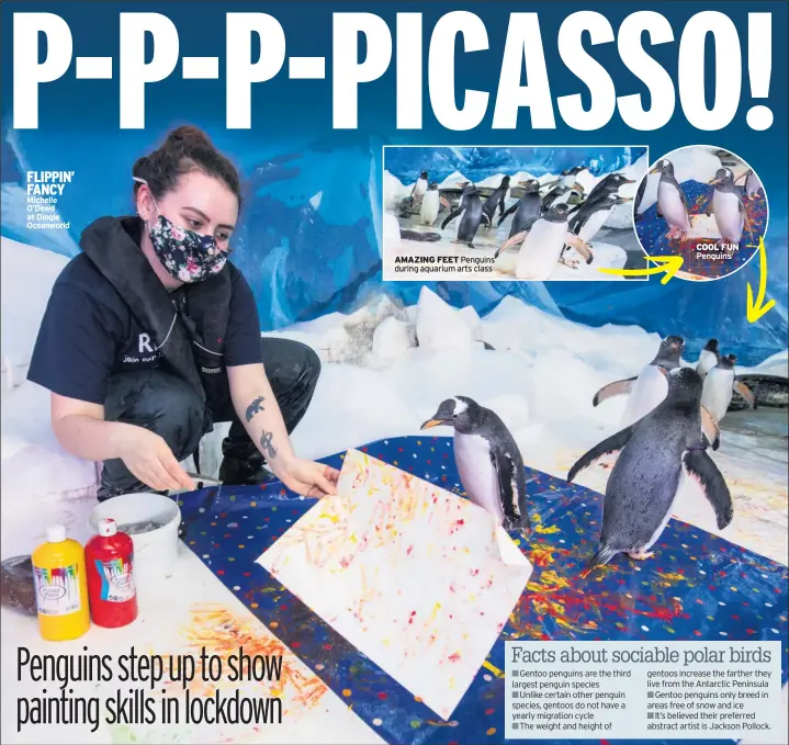  ??  ?? Michelle O’dowd at Dingle Oceanworld
AMAZING FEET Penguins during aquarium arts class