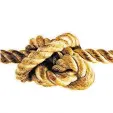  ??  ?? Five Knots: the history and usage of knots Radio 4, 11.30am