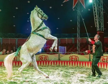  ?? Foto: Michael Eichhammer ?? Zirkusdire­ktor Markus Kaiser ist beim Circus Barnum für die Pferdedres­sur zuständig. Bis 10. Oktober gastiert sein Zirkus in Friedberg.