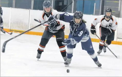  ?? CAROLE MORRIS-UNDERHILL ?? Haley Verge skates hard as a Parkview player tries to tie up her stick.