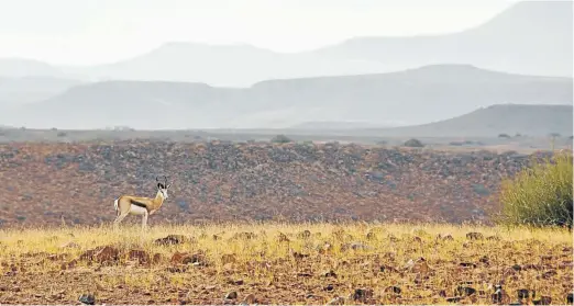  ?? Pictures: Richard Holmes ?? NO BONES ABOUT IT Namibia’s Skeleton Coast has lots to offer the budget-conscious traveller.