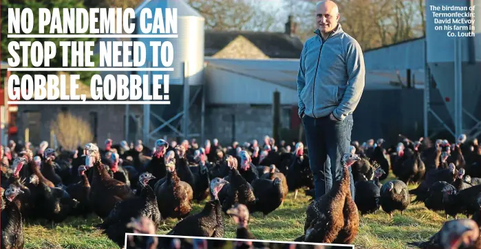  ??  ?? The birdman of Termonfeck­in: David McEvoy on his farm in Co. Louth