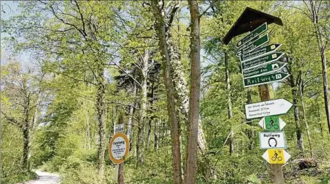  ??  ?? Die Hohe Schrecke ist ein beliebtes Wandergebi­et – auch der Wald bei Kammerfors­t/burgwenden Foto: Ina Renke