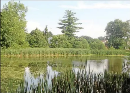  ?? VINNY TENNIS — DIGITAL FIRST MEDIA FILE PHOTO ?? A pond at Kardon Park in Downingtow­n. Borough Council recently voted to withdraw from the Kardon Park lawsuit in which developers sought to build homes in Downingtow­n Borough and East Caln Township.