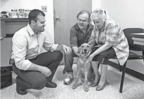  ?? PROVIDED BY GARY LAWSON/OKLAHOMA STATE UNIVERSITY ?? Marley, a 6-month old puppy, is recovering well after a life-saving surgery at OSU Veterinary Medical Hospital.