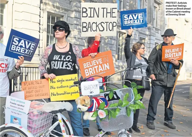  ??  ?? PROTEST: Activists make their feelings known on Brexit ahead of the Cabinet meeting at Downing Street