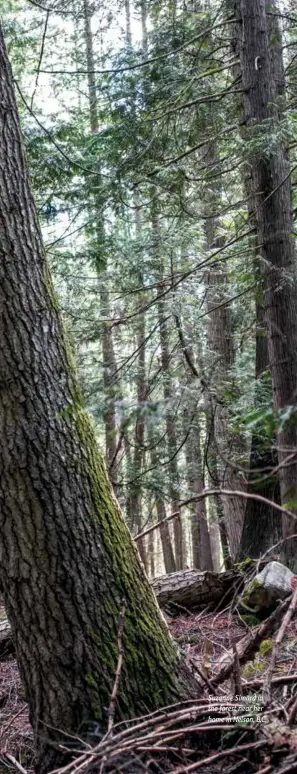  ??  ?? Suzanne Simard in the forest near her home in Nelson, B.C.