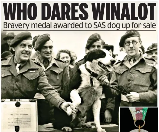  ?? ?? Grrrr-eat British hero: Rob the parachutin­g dog in 1945. Right, the Dickin Medal he won