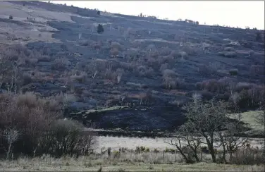  ?? 01_B17fire01 ?? The scorched hillside where the fire started.