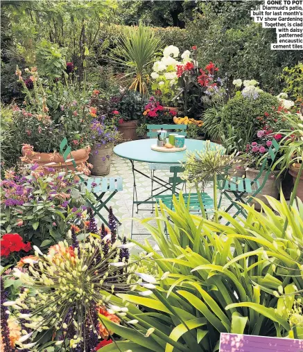  ??  ?? GONE TO POT Diarmuid’s patio, built for last month’s TV show Gardening Together, is clad with daisy patterned encaustic cement tiles