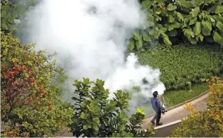  ?? - Reuters/Tim Wimborne/File ?? SPRAYING INSECTICID­E: A contractor fogs a condominiu­m garden in Singapore in an effort to kill mosquitoes, on September 5, 2013. Singapore authoritie­s have confirmed 41 cases of locally-transmitte­d Zika virus.