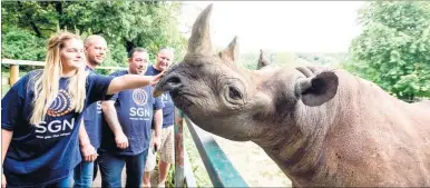  ??  ?? SGN volunteers Emily Hearne, Tony Wood, Paul Gibbons and Paul Hewett meet rhino Rosie