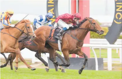  ?? Photo / Trish Dunell ?? Endless Drama holds out Te Akau Shark (left) to win the Foxbridge Plate at Te Rapa on Saturday.