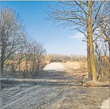  ?? [ wf ] ?? Autobahnba­u? Nationalpa­rk! Donauau bei Mühlleiten.