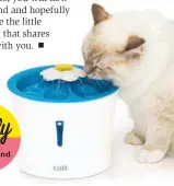  ?? ?? Staff favourite! Cats are naturally attracted to running water. The Catit LED Flower Fountain comes with a triple-action filter and the petal top allows your cat to drink even when the fountain is off! Beloved by staff cats Rosie and Nuit. ($38, catit.ca)