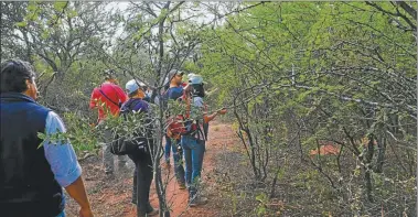  ?? FOTOS: CEDOC PERFIL CEDOC PERFIL ?? ENFERMEDAD. La diarrea neonatal puede afectar hasta el 100% de los terneros en los tambos.