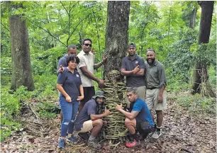  ??  ?? Rangers in the mahogany forest, making a tree hugger.