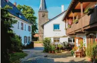  ?? ?? Das Weingut Richard Rinck liegt in der Südpfalz nahe der deutsch‰fran‰ zösischen Grenze.