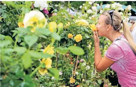  ?? FOTO: STEPHAN KÖHLEN ?? Die „Gartenlust“in Haan am 7. Juni 2020 fallt aus und wird auf 2021 verschoben. Dann soll auch das 15-jährige Bestehen gefeiert werden.
