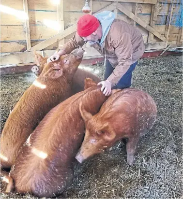  ??  ?? André Houle, a third-generation farmer near Ottawa, made the decision to farm organicall­y and regenerati­vely in 2018.