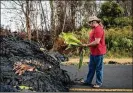  ?? TAMIR KALIFA / NEW YORK TIMES ?? Howie Rosin places offerings to Madam Pele, Hawaii’s goddess of volcanoes and fire.