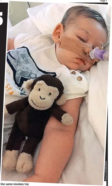  ??  ?? Life support: Charlie pictured in hospital on Monday, the day before the ruling, with the same monkey toy